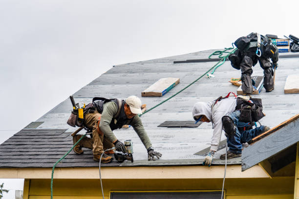 Professional Gutter Installation technician working in Fairhope, AL